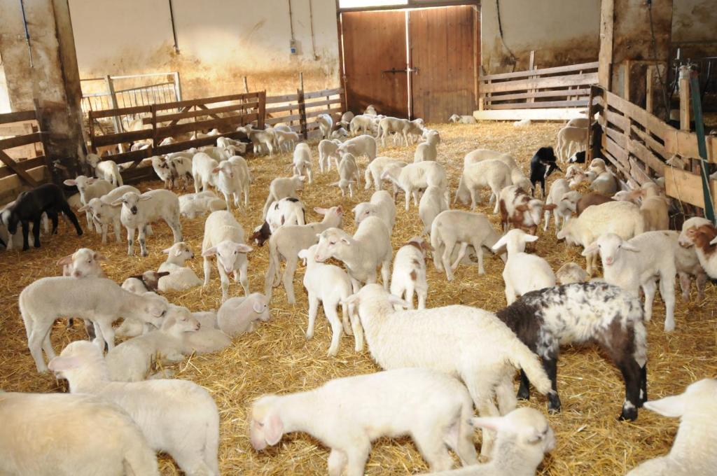 Bio Agriturismo Valle Scannese Willa Scanno Zewnętrze zdjęcie